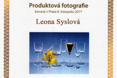 Diplom-Syslova