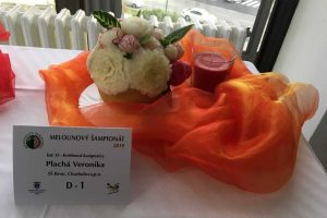 Melounovy-sampionat-uvod Melounovy-sampionat-uvod