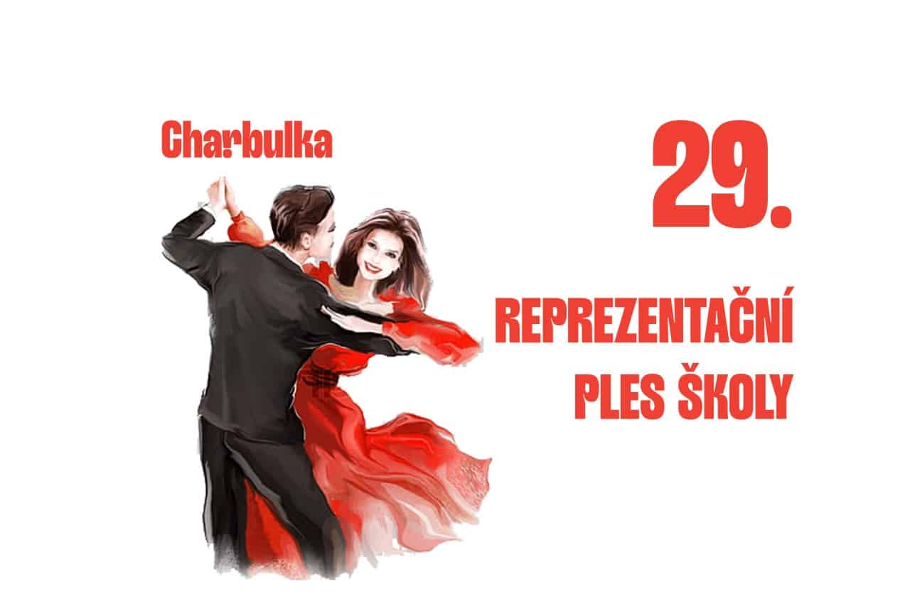 29. reprezentační ples